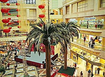 《艾尔登法环》1.13版更新介绍 多项能力调整